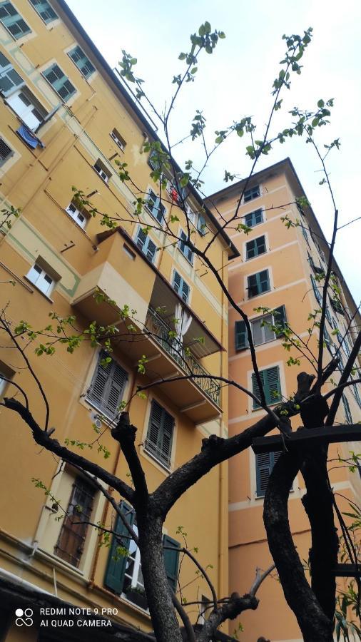 Apartament La Nina Camogli Zewnętrze zdjęcie